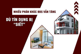 Giá nhiều phân khúc bất động sản vẫn tăng dù tín dụng bị "siết”