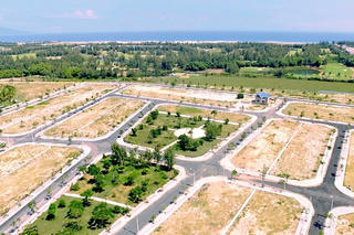 Đất nền tiếp tục dẫn dắt thị trường trong năm 2021