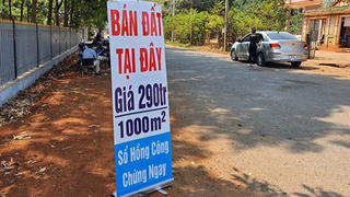 Sốt đất không do tín dụng: Tại sao tín dụng BĐS vẫn tăng?