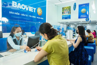 DN bảo hiểm lớn nhất Việt Nam thoái vốn nhà nước, tập đoàn ngoại chờ thâu tóm?