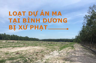 Loạt dự án “ma” tại Bình Dương bị xử phạt