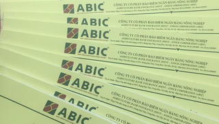 Sau nửa năm, bảo hiểm ABIC báo lãi hơn 167 tỷ đồng, tổng tài sản tăng 7%
