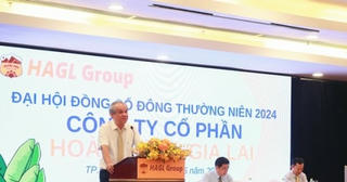 Hoàng Anh Gia Lai đặt kế hoạch lãi 1.320 tỷ đồng và xóa lỗ lũy kế