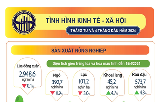 Tình hình kinh tế - xã hội 4 tháng