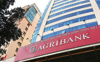 Agribank tiếp tục ‘đại hạ giá’ khoản nợ hơn 300 tỷ đồng của Tập đoàn Xuân Lãm 