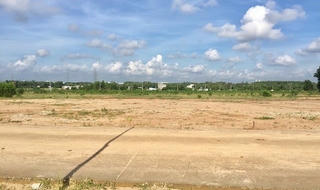 Quảng Nam: Hơn 1.350 ha đất xử dụng không đúng mục đích, UBND tỉnh ra quyết định thu hồi