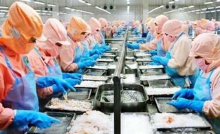 Thủy sản Minh Phú tăng vốn điều lệ lên hơn 4.010 tỷ đồng