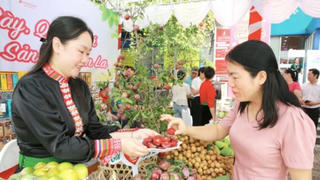 Sơn La: Tăng giá trị sản phẩm, hàng hóa từ chiến lược nâng cao chất lượng