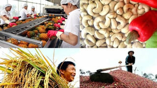 Nâng cao chất lượng, an toàn thực phẩm nông sản trong nước
