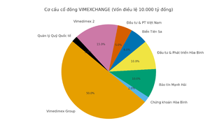 Bảo Tín Mạnh Hải rót 1.000 tỷ vào công ty tài sản mã hóa 10.000 tỷ