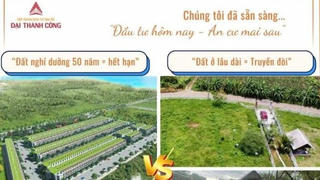 Sẽ tạm hoãn xuất cảnh người đại diện pháp luật Công ty Đại Thành Công Group