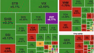 Nhóm cổ phiếu tài chính tăng giúp VN-Index đạt 1.665 điểm