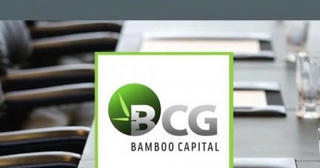 2 cổ phiếu trong hệ sinh thái Bamboo Capital bị đình chỉ giao dịch