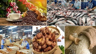 Xuất khẩu nông lâm thủy sản vượt 52 tỷ USD sau 9 tháng