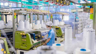 Hơn 230 nghìn doanh nghiệp tham gia vào thị trường