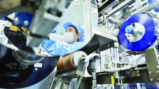DNNN phải báo cáo tình hình cổ phần hóa, kết quả kinh doanh năm 2025 trước 25/10