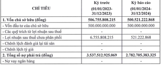 Công ty Mua bán nợ Thế hệ mới: Nợ giảm hơn 750 tỷ đồng, kinh doanh vẫn thua lỗ