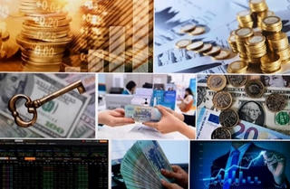 Chính phủ: 'NHNN không được tạo ra biến động mạnh, thay đột ngột chính sách tiền tệ'