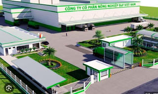 Vi phạm nhiều lỗi, BAF bị phạt 242 triệu đồng