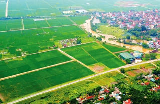 Bộ Tư pháp: 'Quy định đấu giá đất nông nghiệp của Hà Nội là trái pháp luật'