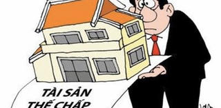 Ngân hàng rao bán gà, vịt, quần áo cũ...để thu hồi nợ xấu