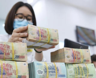 Hai thái cực lợi nhuận ngân hàng: Số ít tăng trưởng cao, phần lớn suy giảm mạnh