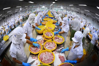 12 ngân hàng tham gia giảm lãi suất cho vay đối với lĩnh vực lâm sản, thủy sản