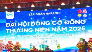 HAPACO: Lộ nhiều khoản nợ xấu từ DN liên quan chủ tịch Vũ Dương Hiền
