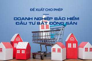 Đề xuất sửa đổi luật cho phép doanh nghiệp bảo hiểm đầu từ bất động sản