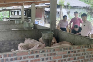 Tín dụng chính sách "thắp sáng" bản làng vùng cao