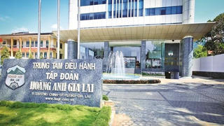 Bán heo không có lãi, HAGL vẫn báo lợi nhuận hơn 300 tỷ trong quý I/2023