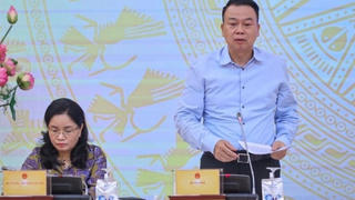 Có bao nhiêu sàn giao dịch tài sản mã hóa được triển khai tại Việt Nam?