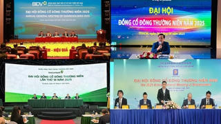 Mùa đại hội cổ đông: Doanh nghiệp lớn lên kế hoạch ứng phó với thuế quan Mỹ