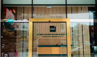 Areca Việt Nam bị phạt do không báo cáo về việc dự kiến giao dịch
