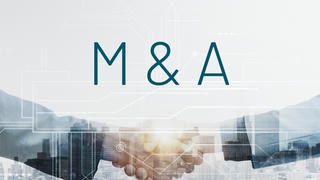 Dấu ấn M&A 2024: Top 10 thương vụ của năm