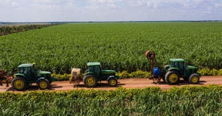 TTC Group đăng ký bán 31 triệu cổ phiếu SBT của TTC AgriS