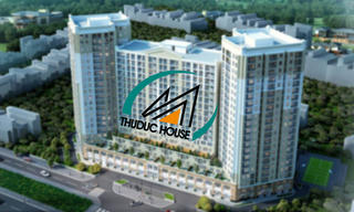 Thuduc House bị cưỡng chế thuế hơn 74 tỷ đồng 