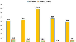 Sau nhiều năm vỡ kế hoạch kinh doanh, Địa ốc Hoàng Quân tiếp tục đặt mục tiêu 'đi lùi'