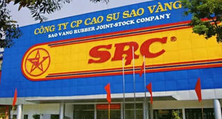 Bán dự án, Cao su Sao Vàng thu khoản tiền tươi 300 tỷ đồng