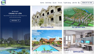 Bị cấm dự thầu 4 năm, năng lực tài chính của THT Group ra sao?