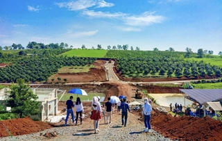 Đổ xô mua đất Tây Nguyên làm rẫy: Dân đầu cơ mắc kẹt, giảm giá 50% không ai hỏi
