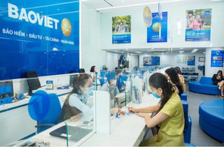 Cổ phiếu khuyến nghị hôm nay (8/11): BVH, HSG và PVD