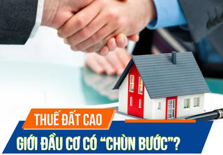 Thuế đất cao có làm giới đầu cơ “chùn bước”?