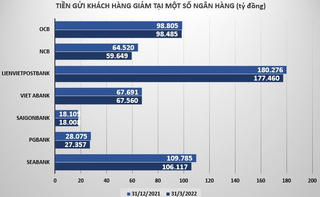 Tổng tài sản và tiền gửi của nhiều ngân hàng nhỏ sụt giảm