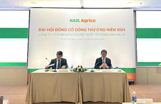 Đánh cược vào HNG, Tỷ phú Trần Bá Dương hứa 2025 sẽ có lãi