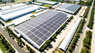 Bamboo Capital lãi quý 3 tăng mạnh, lợi nhuận sau thuế 9 tháng tăng gấp 4 lần