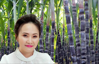 Lộ diện quỹ ngoại mua hơn 60 triệu cổ phiếu của 'Công chúa mía đường'