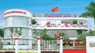 Hơn 78 triệu cổ phiếu TAR sắp bị huỷ niêm yết