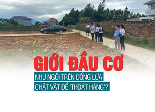 Giới đầu cơ đang như “ngồi trên đống lửa”, chật vật để thoát hàng?