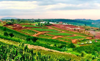 Lâm Đồng không có dự án 300 Lộc Tân